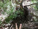 photo thumbnail #9