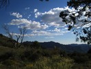 photo thumbnail #12