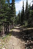 photo thumbnail #6