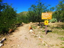 photo thumbnail #1