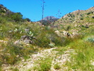 photo thumbnail #2