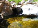 photo thumbnail #9