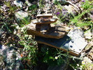 photo thumbnail #12