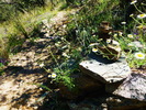 photo thumbnail #13