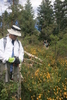 photo thumbnail #6