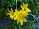 photo thumbnail #6