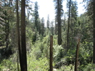 photo thumbnail #7