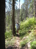 photo thumbnail #8