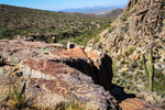 photo thumbnail #4
