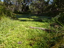photo thumbnail #8