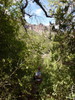 photo thumbnail #10