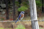 photo thumbnail #6