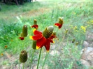 photo thumbnail #13