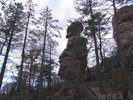 photo thumbnail #8