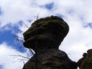 photo thumbnail #10