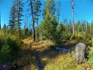 photo thumbnail #4
