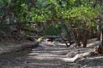 photo thumbnail #3