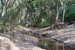 photo thumbnail #8