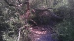 photo thumbnail #15