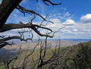 photo thumbnail #8