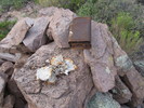 photo thumbnail #7