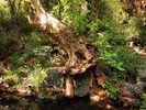 photo thumbnail #9