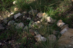 photo thumbnail #14