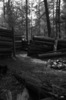 photo thumbnail #15