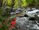 photo thumbnail #11