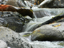 photo thumbnail #12