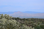 photo thumbnail #6