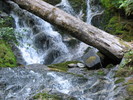 photo thumbnail #13