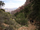 photo thumbnail #5