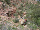 photo thumbnail #6