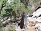 photo thumbnail #5