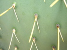 photo thumbnail #14