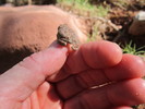 photo thumbnail #9