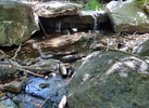 photo thumbnail #9