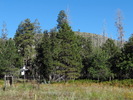 photo thumbnail #13
