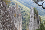 photo thumbnail #10