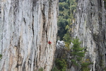 photo thumbnail #11