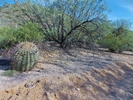 photo thumbnail #1