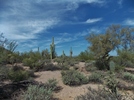 photo thumbnail #11
