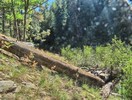 photo thumbnail #6