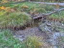 photo thumbnail #9