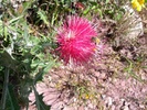 photo thumbnail #11