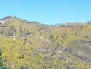 photo thumbnail #13