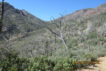 photo thumbnail #2