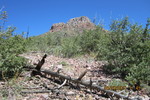 photo thumbnail #7