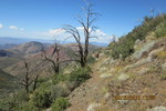 photo thumbnail #11